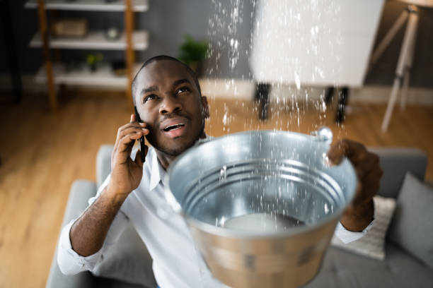 Best Professional water damage repair  in Des Peres, MO