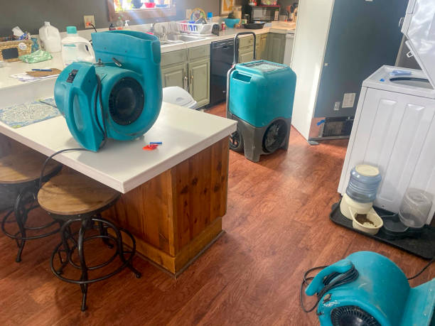 Best 24/7 water damage repair  in Des Peres, MO