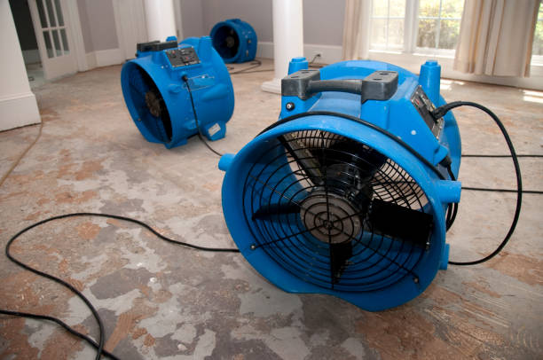 Best Commercial water damage restoration  in Des Peres, MO