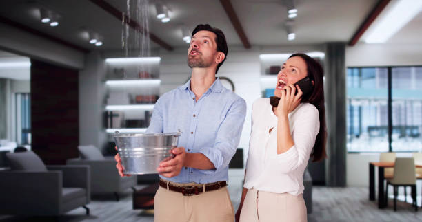 Best Water damage restoration near me  in Des Peres, MO